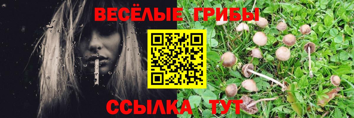 Псилоцибиновые грибы прущие грибы  Вход с VPN  купить наркотики цена  Галлюциногенные грибы мицелий  Заволжье 