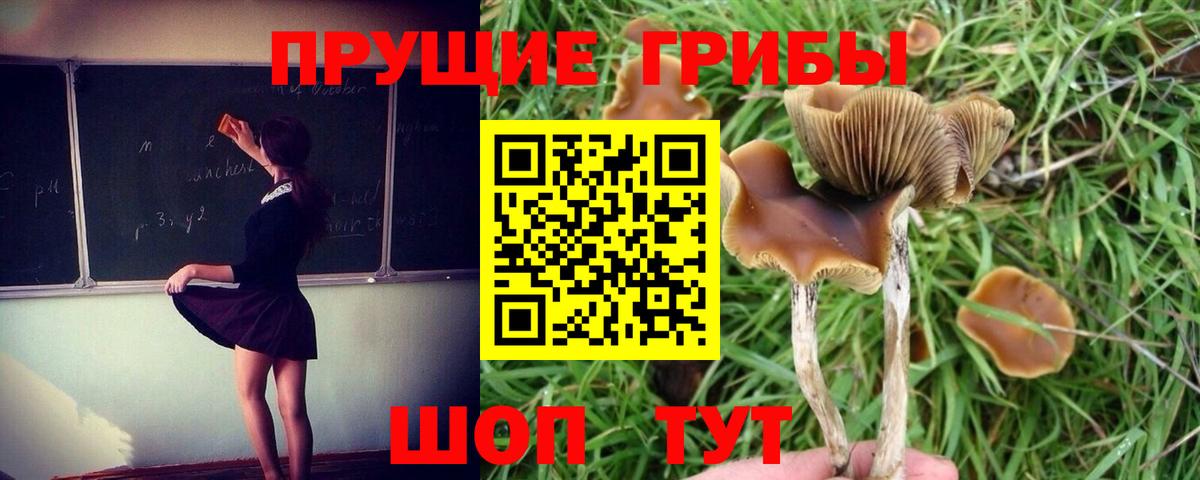 Галлюциногенные грибы MAGIC MUSHROOMS Заволжье